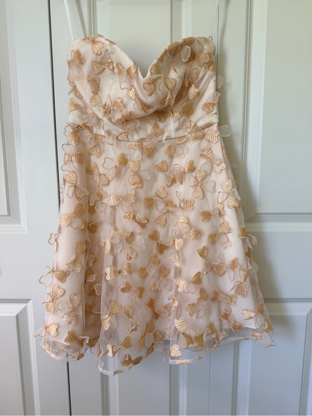 Minuet Petite Cream Floral Appliqué Prom Dress small